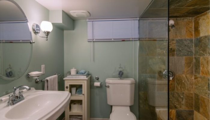 basement-bathroom-plumbing-shower-650x433 2